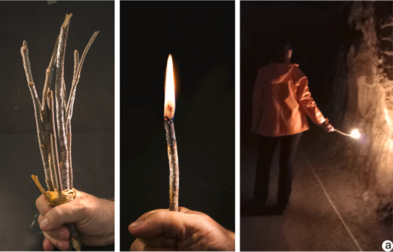 Scots pine twigs used as torches in ancient cave